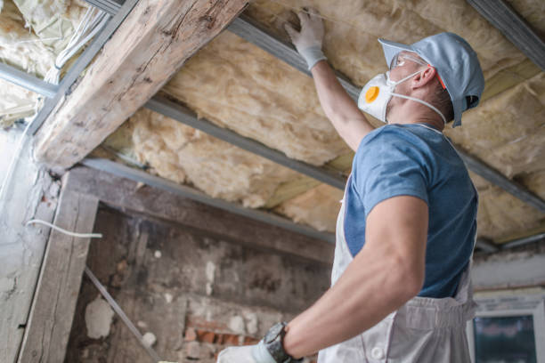 Best Local Insulation Services  in Lisle, IL