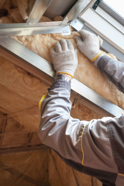 Best Crawl Space Insulation  in Lisle, IL