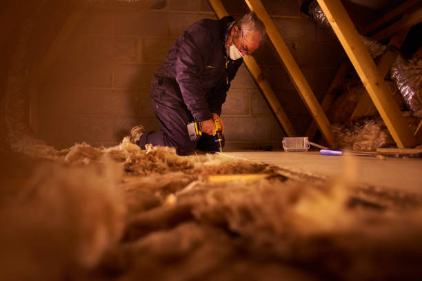 Best Attic Insulation Installation  in Lisle, IL